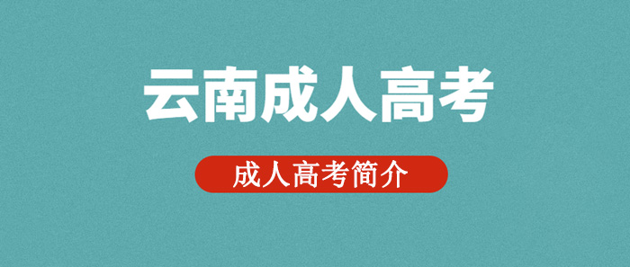 云南省成人高考簡介(圖1)