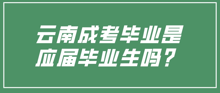 云南成考畢業是應屆畢業生嗎？.jpeg