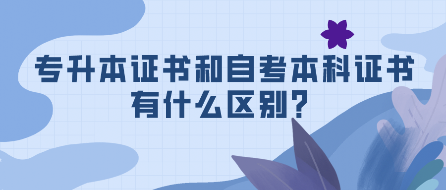 專升本證書和自考本科證書有什么區(qū)別？.png