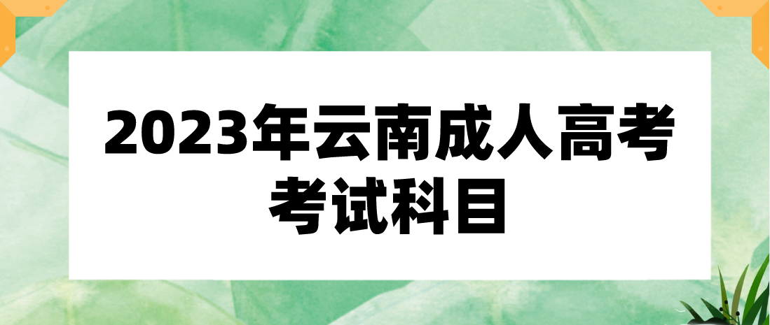 2023年云南成人高考考試科目